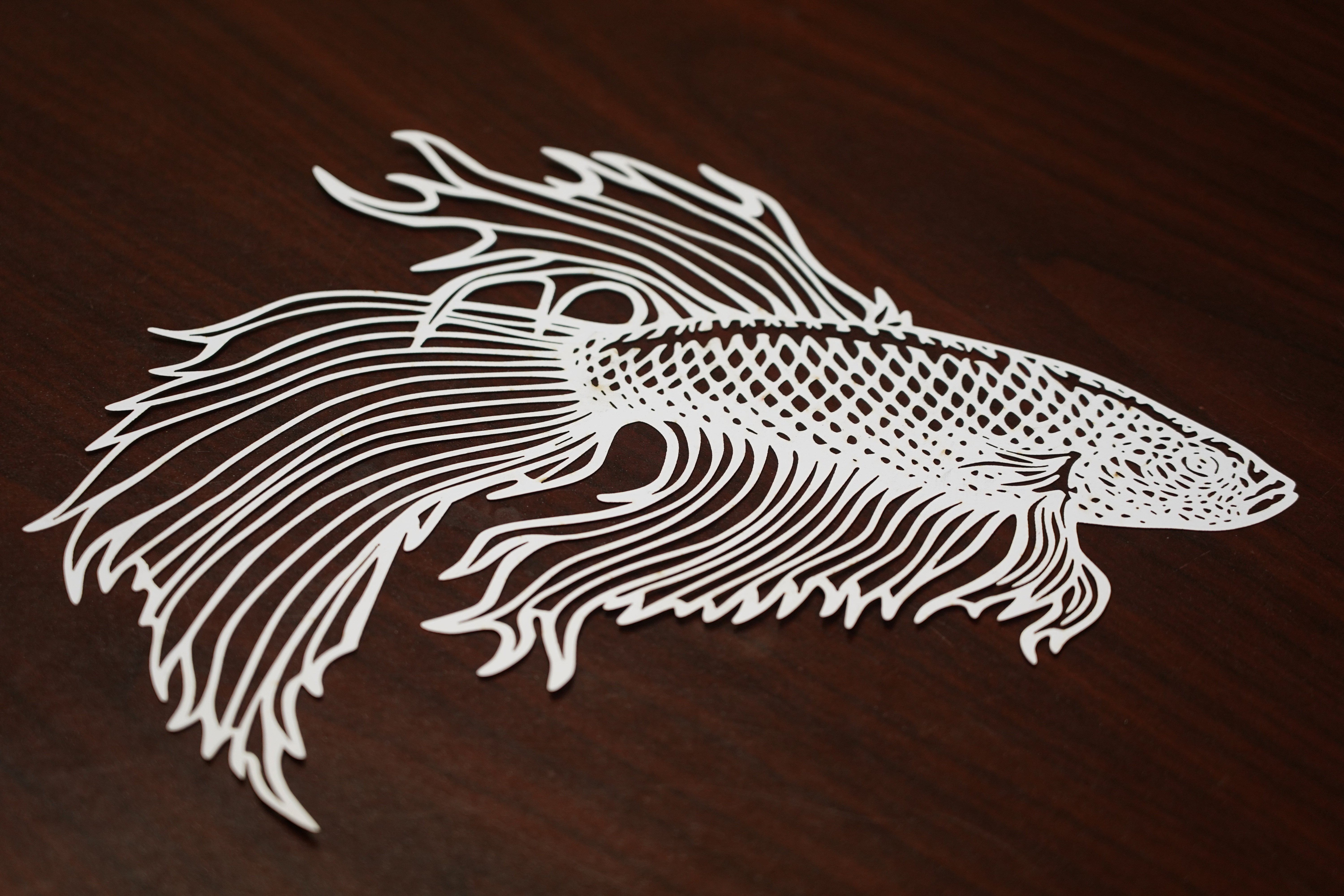 Amazon.com: engraving paper